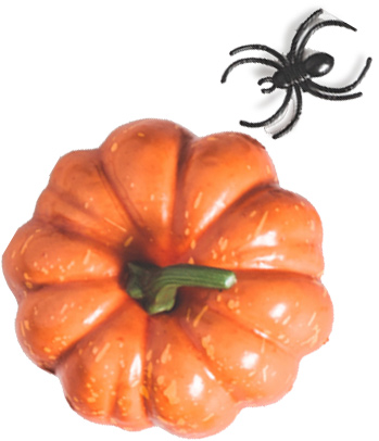 pumpkin decoration isolated