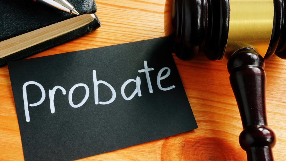 probate court in michigan with gavel